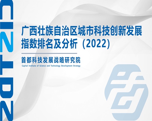 日必影院【成果发布】广西壮族自治区城市科技创新发展指数排名及分析（2022）